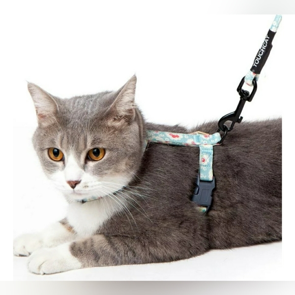 SOLD- Large Cat Harness Leash Combo - Picture 6 of 8